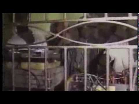 Daddy Freddy "Keeping A Conference in Geneva"