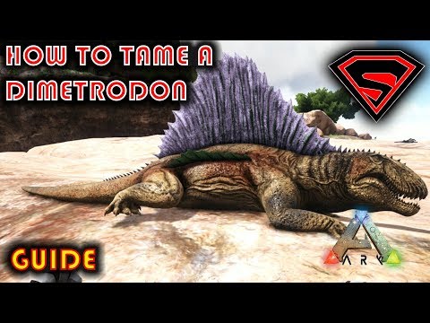 ARK HOW TO TAME A DIMETRODON 2019 - EVERYTHING YOU NEED TO KNOW ABOUT TAMING A DIMETRODON