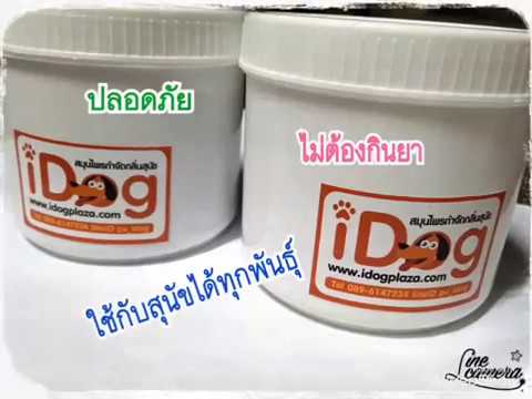 โรคสะเก็ดเงิน Diprosalik โลชั่น แปลงสำหรับโรคสะเก็ดเงิน