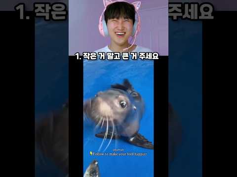 선택하기 58편. 가장 귀여운 영상을 골라주세요🐶