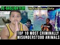 Top 10 Most Criminally Misunderstood Animals by casual geographic reaction