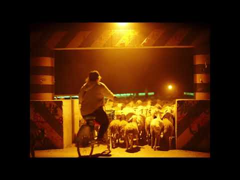 Дрифт / Drifting / Drifting (2019) / 49th Molodist KIFF