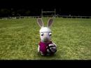 Rabbids can play rugby