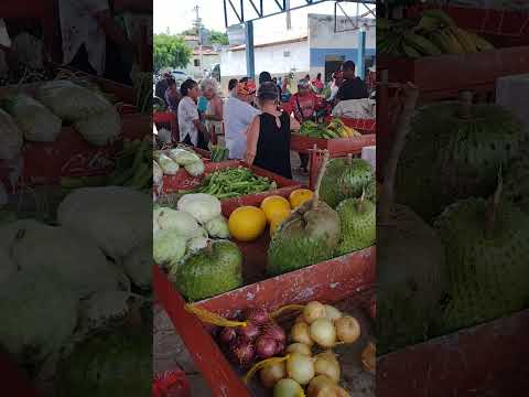 FEIRA DE SANTA INÊS BAHIA #shorts #feira #turismo #entretenimento #nordeste #cultura #humor #alegria