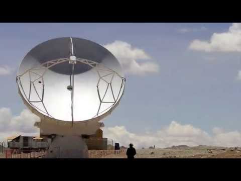 THE STORY OF BALSA WOOD - Airexbaltekbanova