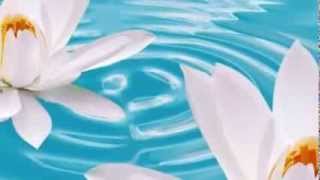 David Arkenstone - Moonflower