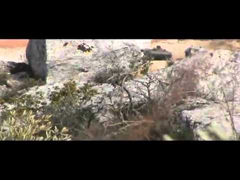 رصد أحد مقرات النظام في جبل الأربعين من قبل كتيبة صقور الشام