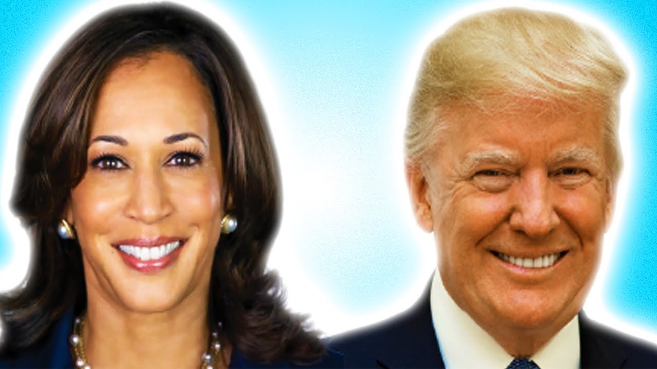 If I see something political, the video ends - r/pics