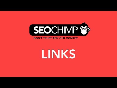 SEOCHIMP video.