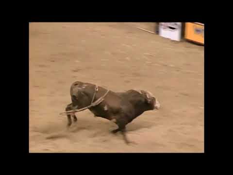 Freckles bucks Emerson Leonardo - 99 PBR Greensboro