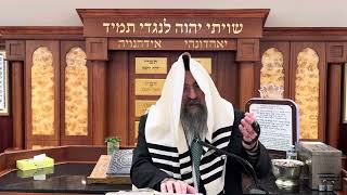 כמה תקיעות צריך במוסף (הרב יצחק ישראלי) - התמונה מוצגת ישירות מתוך אתר האינטרנט יוטיוב. זכויות היוצרים בתמונה שייכות ליוצרה. קישור קרדיט למקור התוכן נמצא בתוך דף הסרטון