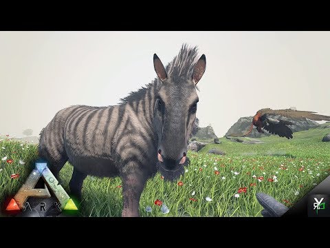 AHH YES NOW I'M READY!!!- Xbox Ragnarok EP 69