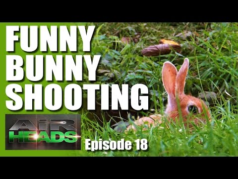 AirHeads – Funny Bunny Shooting AirHeads – Funny Bunny Shooting