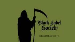 Illusions of Peace - Black Label Society