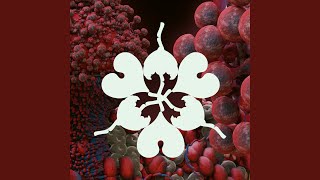 Ovule (feat. Shygirl) (Sega Bodega Remix)