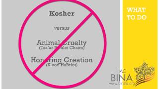 Gabriel Botnick ⎪ Pleased to Meat You: A Jewish Ethic of Eating Meat