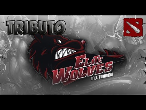 Tributo a ELITE WOLVES | Dota 2