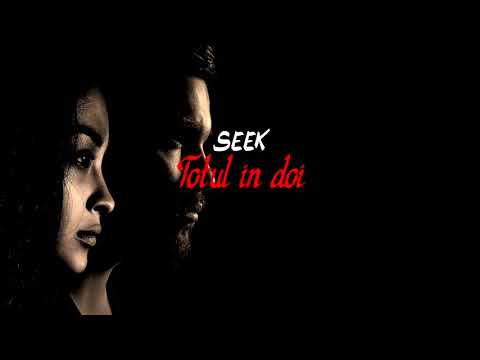 Seek - Totul In Doi