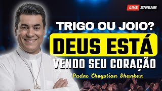Trigo ou Joio? Deixe o Espírito Santo Agir em Sua Vida | Padre Chrystian Shankar