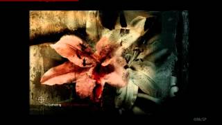 The Gathering - Red is a slow colour (How to Measure a Planet)