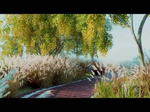 Total Environment After The Rain Phase IIB Project Tour 1