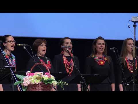 DOBRI DENEK - VA Samoborke