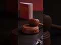 Law & Order Mini Gavel Set Demo