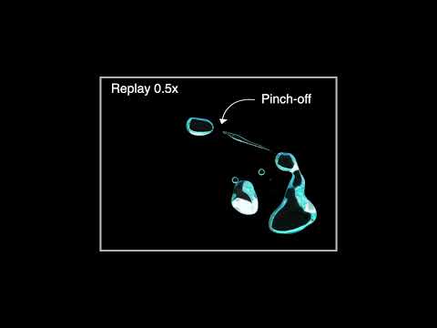 The Dance of Drops in Homogeneous Isotropic Turbulence