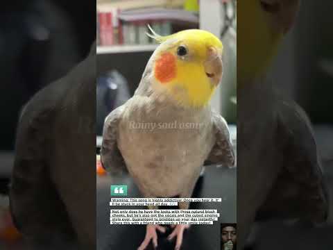 YouTube Thumbnail