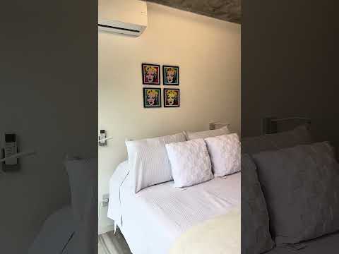 Video de YouTube - Alquiler invierno invernal temporal temporada  maldonado centro punta del este