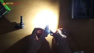 Winso HВ3(9005) 12/24V 30Вт 3000Лм 6500K CSP3570 (793500) - відео 1