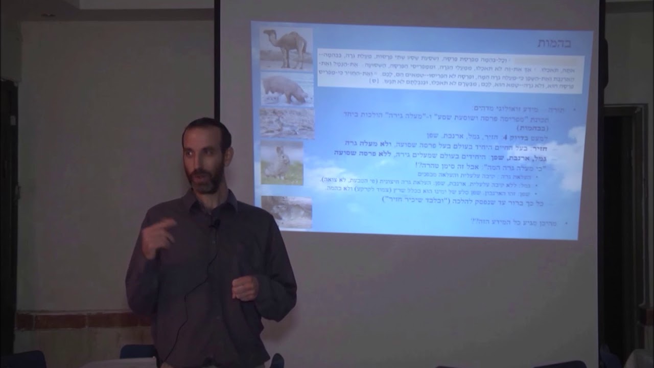 בעלי חיים - חלק 2