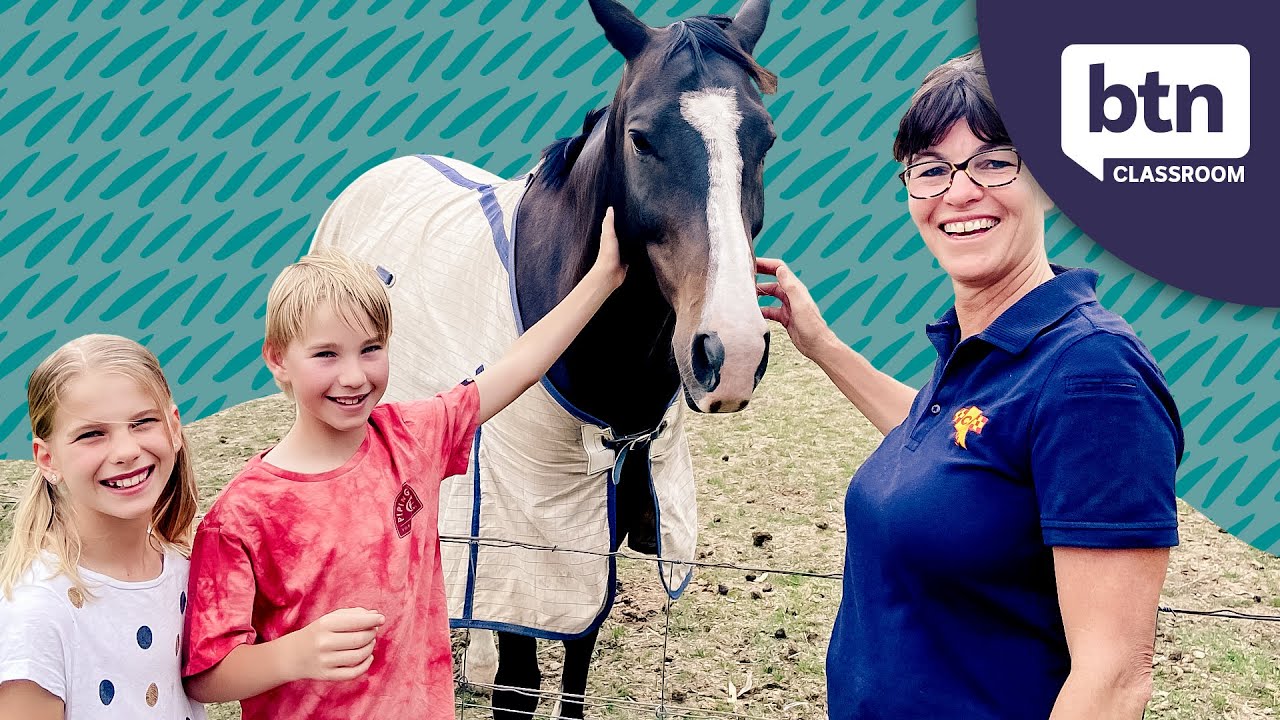 Do you need a Bushfire Survival Plan? Behind the News