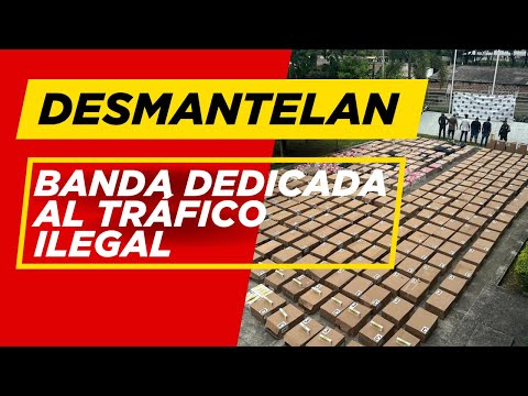 🚔 Desmantelada la banda ‘Los de la Pradera’ en el Valle del Cauca.