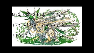 【パズドラ】緋炎の雲海都市　三階（3色限定・7×6マス）　ノーコン攻略