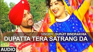 Dupatta Tera Satrang Da  Punjabi Audio Song  Surji