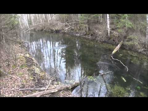 Forellipüük 2015 - 1 osa