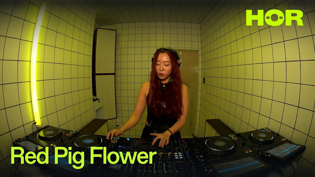 Red Pig Flower - HÖR