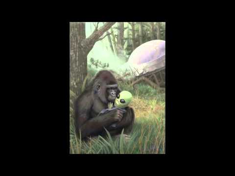 Frechbax Live Set  Lost Theory 2013