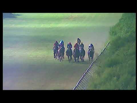 Napoli Galoppo 10/07/2021 - 5ª corsa