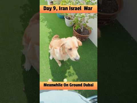 Day 9 of War: On Ground In Dubai 🇦🇪 #shorts #dubai #isdubaisafe #iranisraelwar — Spectronix YouTube Short