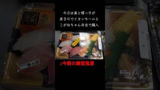 お盆休み家族会 #嵐 #dancevideo #料理 #政治 #cooking #エアロビクス #dance #自炊 #夢グループ #負けられない戦い #おつまみ #お寿司 #トランプ