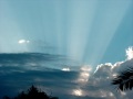 L'immenso Amedeo Minghi-