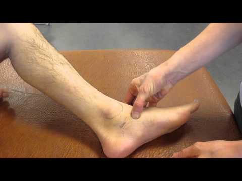 Navicular Tuberosity, Ankle, Palpation