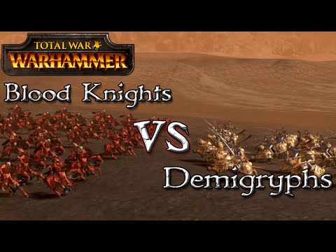 Blood Knights vs Demigryphs - Total War: Warhammer - 1v1 Unit Battles