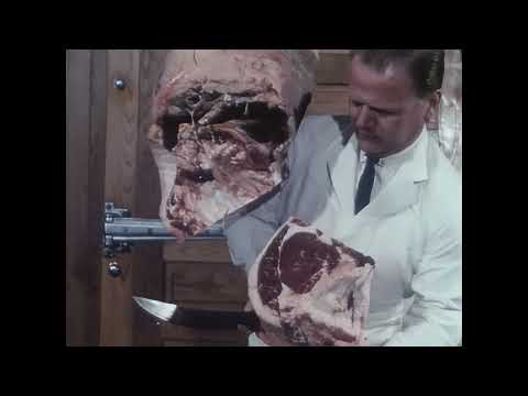 The beef industry in 1960s America (Part II) - A.I.-Restored  – [ 4K60FPS ]