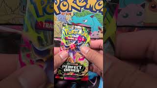 Perfect Order 3 Pack Blister