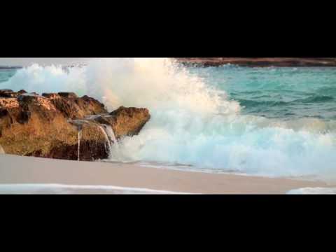 Collie Herb feat. Jo Elle - I Weiss (Teaser)