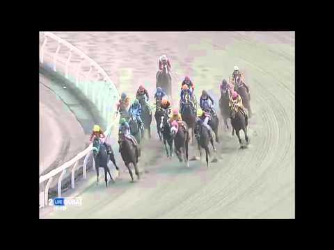 2016.05.01 Tango Stakes (JPN) - D’s Planet