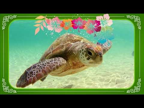 Gospel Na Papiamentu Vol 5 Homenahe na Kornan di Kòrsou part 2